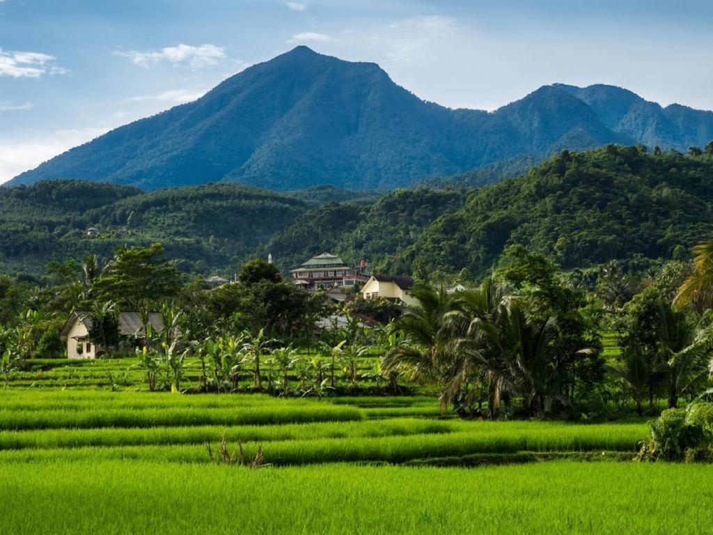 D'Anaya Hotel Bogor Luaran gambar